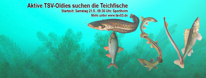teich_fb